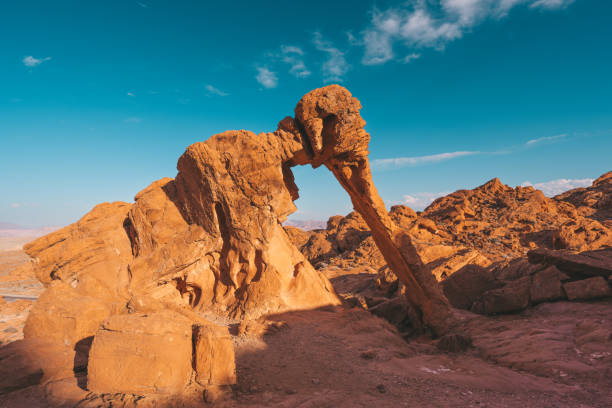 istock Elephant rock at Valley of Fire 1423833711