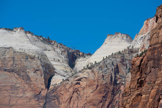 Lush green forest and canyon landscape inside the majestic Zion National Park in Utah, United States.