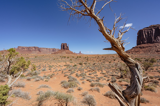 Monument Valley is famous for its iconic buttes located on the Colorado Plateau in Arizona along the border to Utah and featured in many western movies.