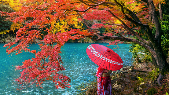 Asian woman wearing japanese traditional kimono at Arashiyama in autumn season along the river in Kyoto, Japan.