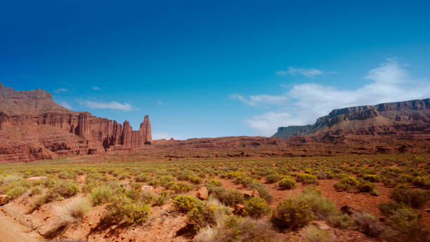 istock Landscape in Utah, USA 1423835273