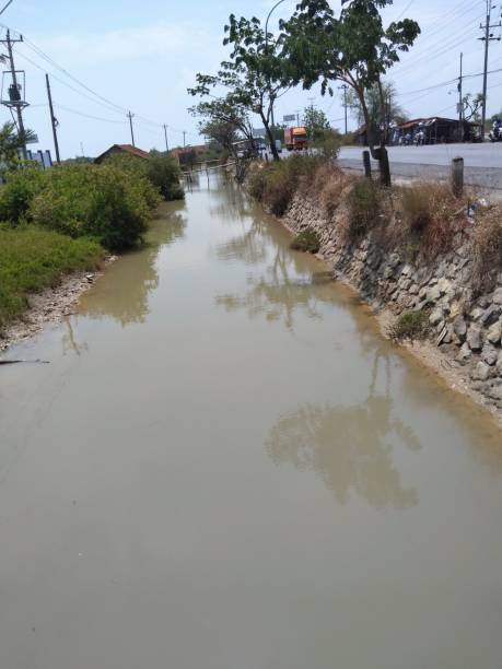 istock river with puddles full of heavy rain 1423839309
