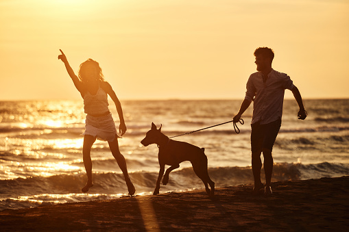 Carefree couple having fun while running with their dog during summer sunset on the beach. Copy space.