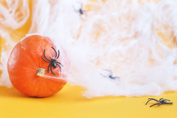 istock Halloween pumpkin with spider web and black spiders on orange background. 1423844009