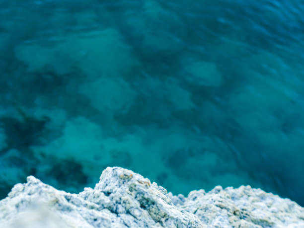 Seabed in summer day. Green deep calm water.