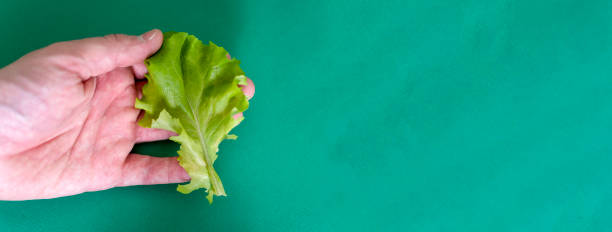 istock A leaf of lettuce in a man's hand on a green background. 1423850397
