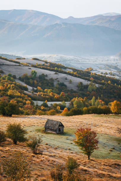 alba autunnale nei carpazi. mattina nebbiosa - carpathian mountain range foto e immagini stock