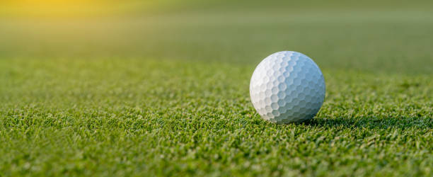 White golf ball on golf pin green grass near hole with golf course background , green tree sun ray