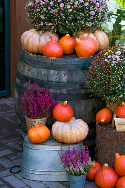 istock Autumn decoration with pumpkins, barrels, chrysanthemums and heather 1423851635