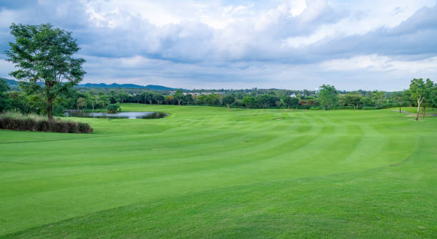Beautiful green view at golf course ,green trees and mountain blue sky white cloud background