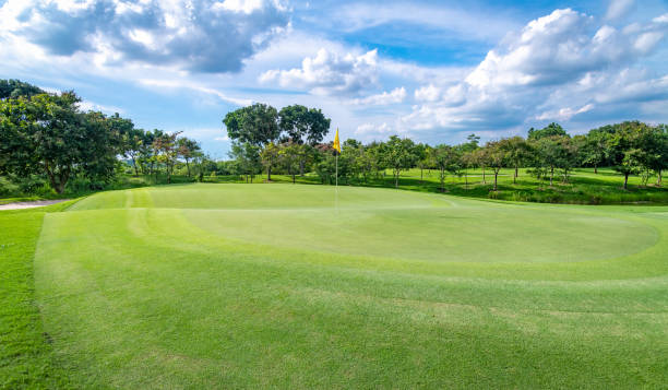 istock Beautiful green view at golf course ,green trees and mountain blue sky white cloud background 1423852468
