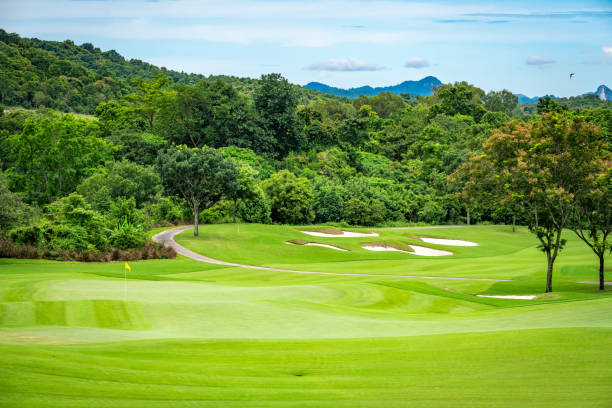 istock Beautiful green view at golf course ,green trees and mountain blue sky white cloud background 1423852499