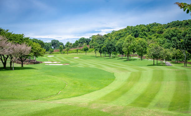 istock Beautiful green view at golf course ,green trees and mountain blue sky white cloud background 1423852513