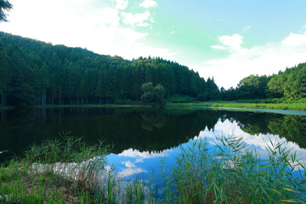 istock Nara Prefecture of ryuuougabuchi Pond 1423853038
