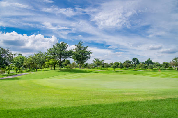 istock Beautiful green view at golf course ,green trees and mountain blue sky white cloud background 1423853176
