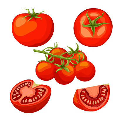 Free download of Red Food Plants Cartoon Vegetables Salad Plant Tomato  Veggie Vector Graphic