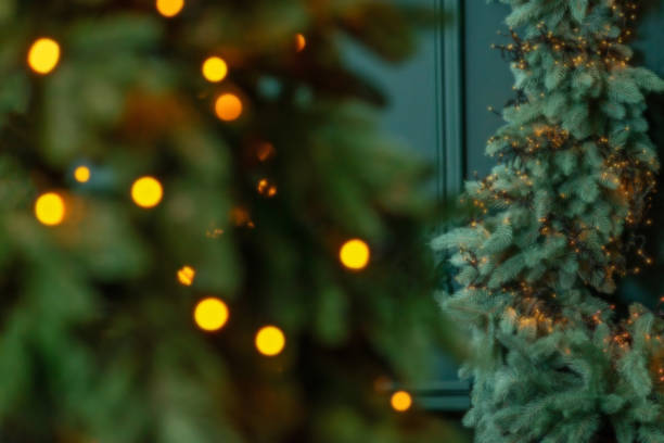 istock Blurred christmas background, christmas tree and magic bokeh lights in the background. copy space. 1423855402