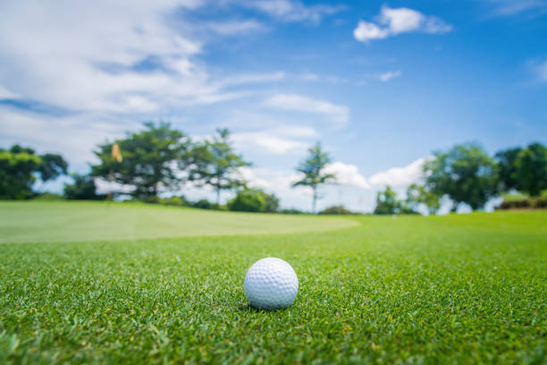 istock A white golf ball on green grass near hole with golf course background,green tree sun rays 1423856073