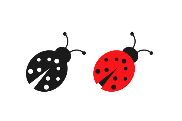 illustrazioni stock, clip art, cartoni animati e icone di tendenza di icona della coccinella. simbolo della coccinella. segno coleottero vettore piatto. - ladybug