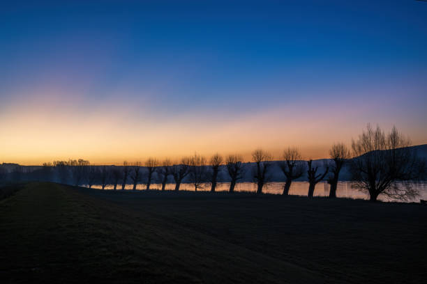 Silhouette trees along the Clutha river at sunset, Balclutha, South Otago.