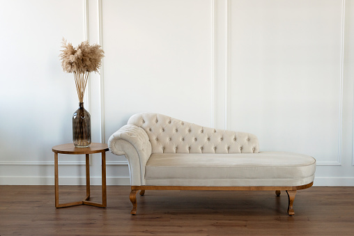 Vintage beige sofa in velor upholstery in a modern interior, with a vase of dried flowers. Interior design. Soft selective focus.