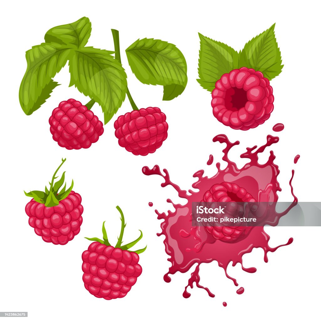 Single Cartoon Raspberry Fruit Raspberry Fruit Set Cartoon Vector Illustration Stock Illustration ...
