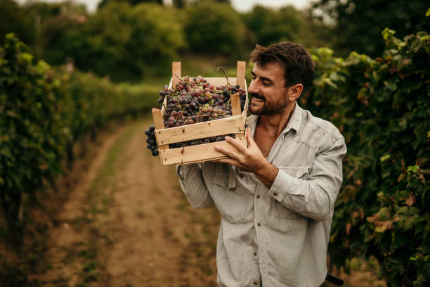 istock As good as nature intended 1423862958