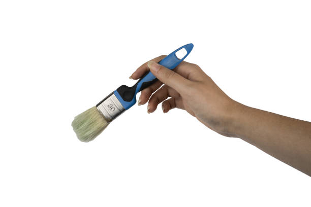 istock a brush in the female hand 1423865648