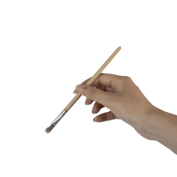 istock a brush in the female hand 1423865680