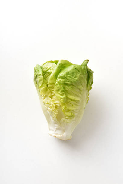 istock Lettuce detail on white background 1423871593