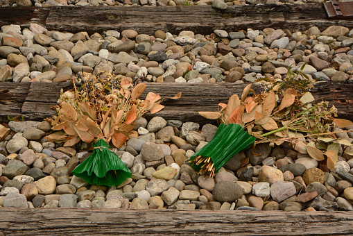 Westerbork transit camp in Drenthe: memorial piece of railroad strack with on top two dried flower bouquets. Missing you.