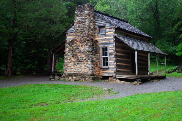 istock Old log cabin in the forest on a wet rainy day. 1423874027