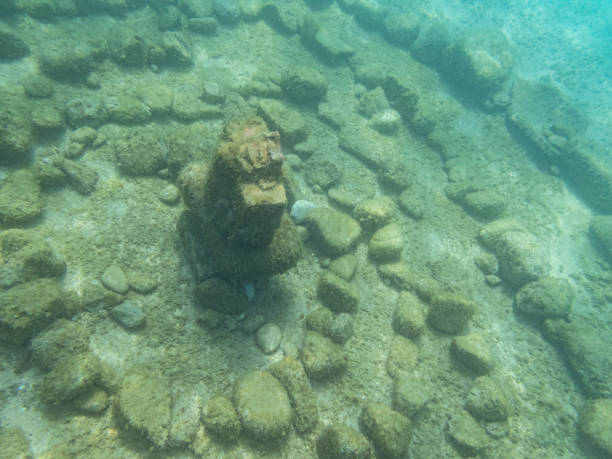 Cala Fosca underwater scapes. Rock lineations near the beach. Cala Fosca In Costa Brava. Catalonian best beaches with magnificent fauna and flora.
Stone lineations near the beach coralline red algae photos stock pictures, royalty-free photos & images