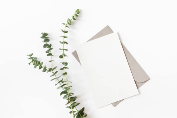 istock Stylish wedding invitation card mockup with eucalyptus branches on white background 1423882228