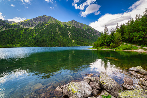 Sunny summer morning on the Vorderer Gosausee lake in the Austrian Alps. Austria, Europe.