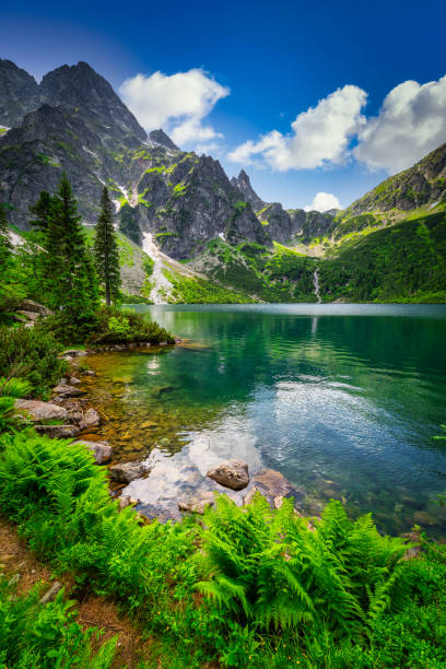 paysage étonnant du lac eye of the sea dans les montagnes des tatras, pologne - monts de tatra photos et images de collection