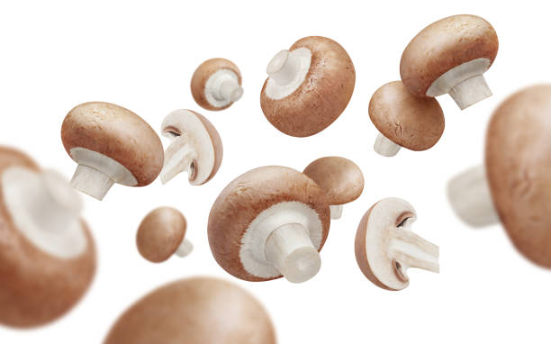istock Flying champignon mushrooms on white 1423887829