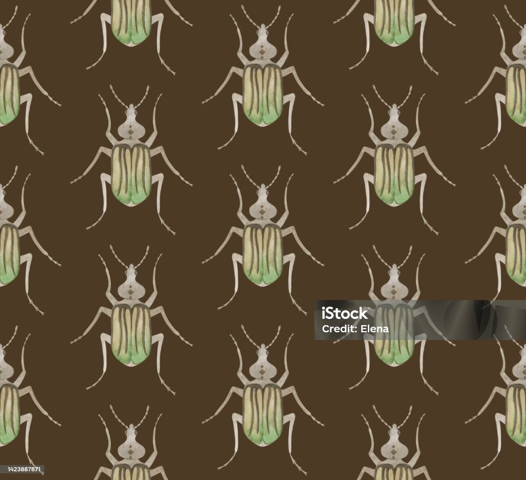 Brown Insect Design Brown Seamless Pattern With Watercolor Beetles Stock Illustration ...