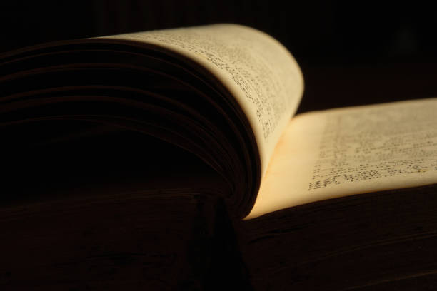 istock Open pages of an old book. 1423893367