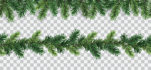 ilustraciones, imágenes clip art, dibujos animados e iconos de stock de conjunto vectorial de bordes decorativos sin costuras con ramas de coníferas verdes - elemento decorativo navideño - pine tree evergreen tree backgrounds needle