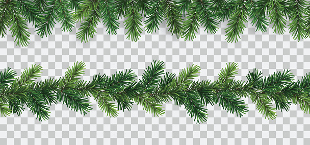 Vector set of seamless decorative borders with green coniferous branches - christmas decorative element
