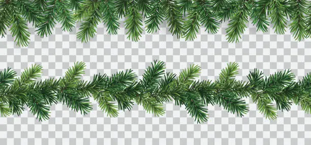 Vector illustration of Vector set of seamless decorative borders with green coniferous branches - christmas decorative element