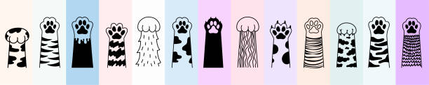 Set of Cat paw. Dog paw. Cat breed. Doodle animal foot, cute cartoon kitten and puppy paws, wild and domestic animals foots. Vector drawing kitty and dog different breed pet on colored background. Set of Cat paw. Dog paw. Cat breed. Doodle animal foot, cute cartoon kitten and puppy paws, wild and domestic animals foots. Vector drawing kitty and dog different breed pet on colored background. dog pointing stock illustrations