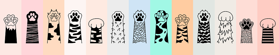 Collection of Cat paw. Dog paw. Cat breed. Doodle animal foot, cute cartoon kitten and puppy paws, wild and domestic animals foots. Vector drawing kitty, dog different breed pet on colored background.