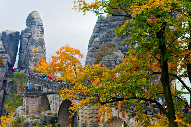 istock Saxon Switzerland National park during autumn, Germany 1423903069