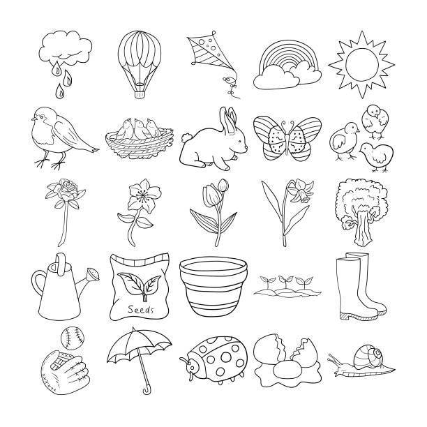 illustrations, cliparts, dessins animés et icônes de spring hand drawn doodle line art outline set - daffodil flower silhouette butterfly