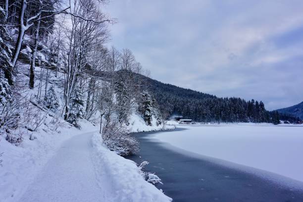 istock Walking path in winter. A snow-covered path for walking in Germany. Walk along the snow-covered path of Bavaria. 1423909431