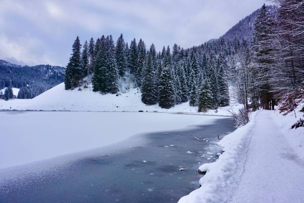 istock Walking path in winter. A snow-covered path for walking in Germany. Walk along the snow-covered path of Bavaria. 1423910077