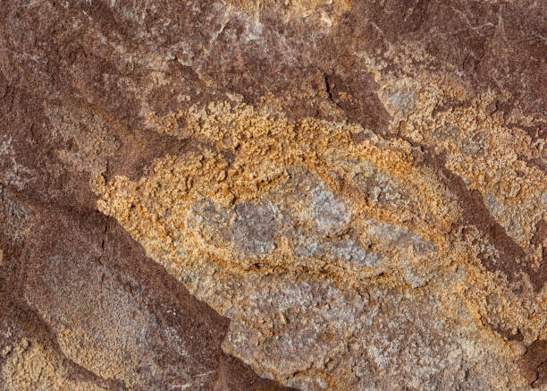 istock Stones texture nature background photo. 1423912506