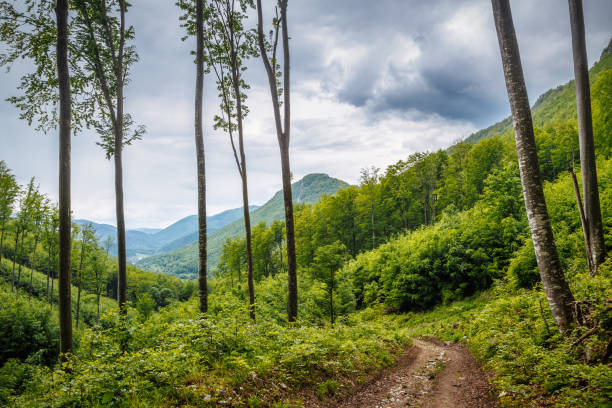 Spring cloudy landscape of hills and forests. The Muranska planina plateau national park in central Slovakia, Europe.